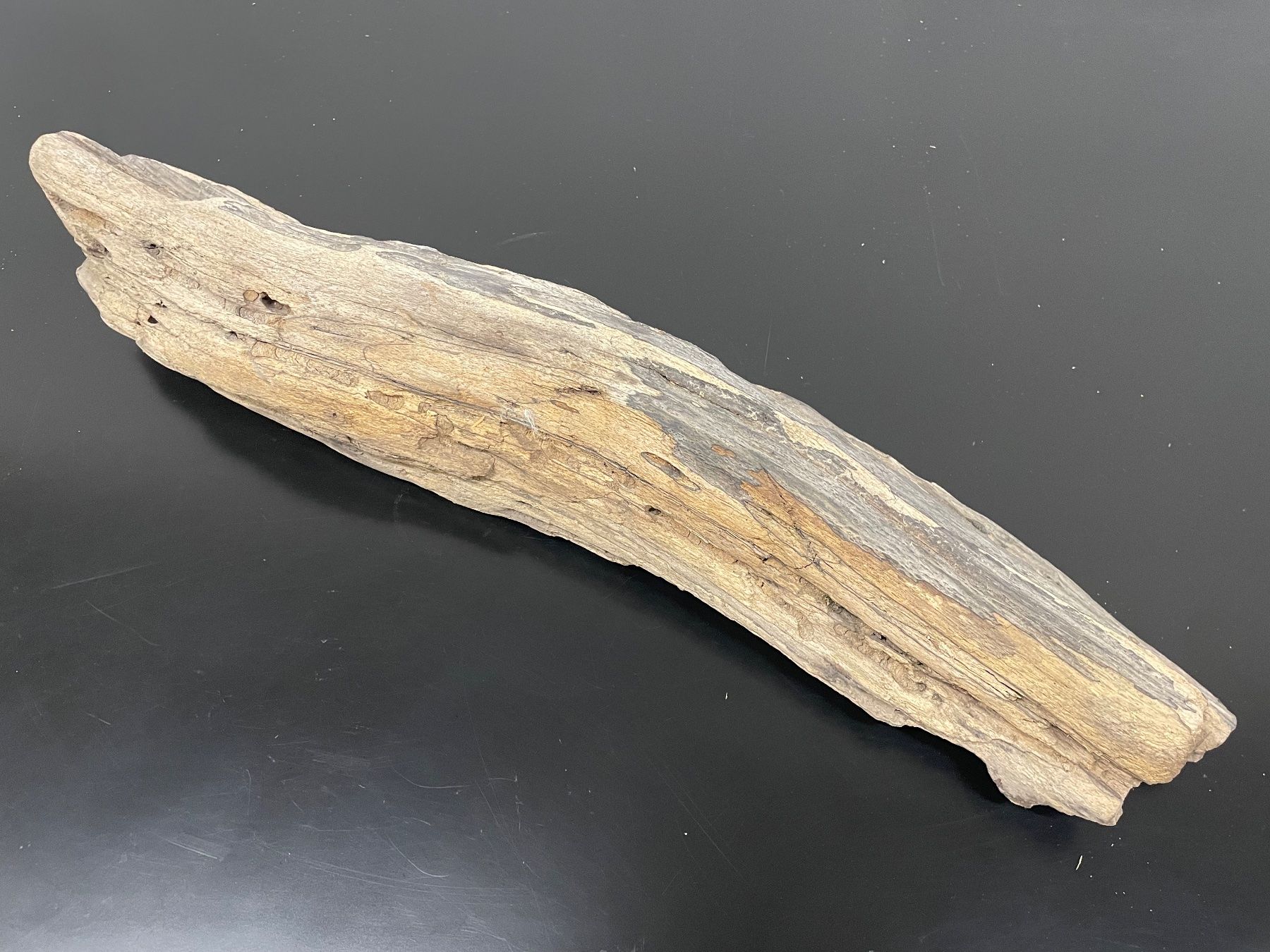 Tutte le decorazioni: Schwemmholz_Natur – Usato da Flawil venduto da Waldau1A 2