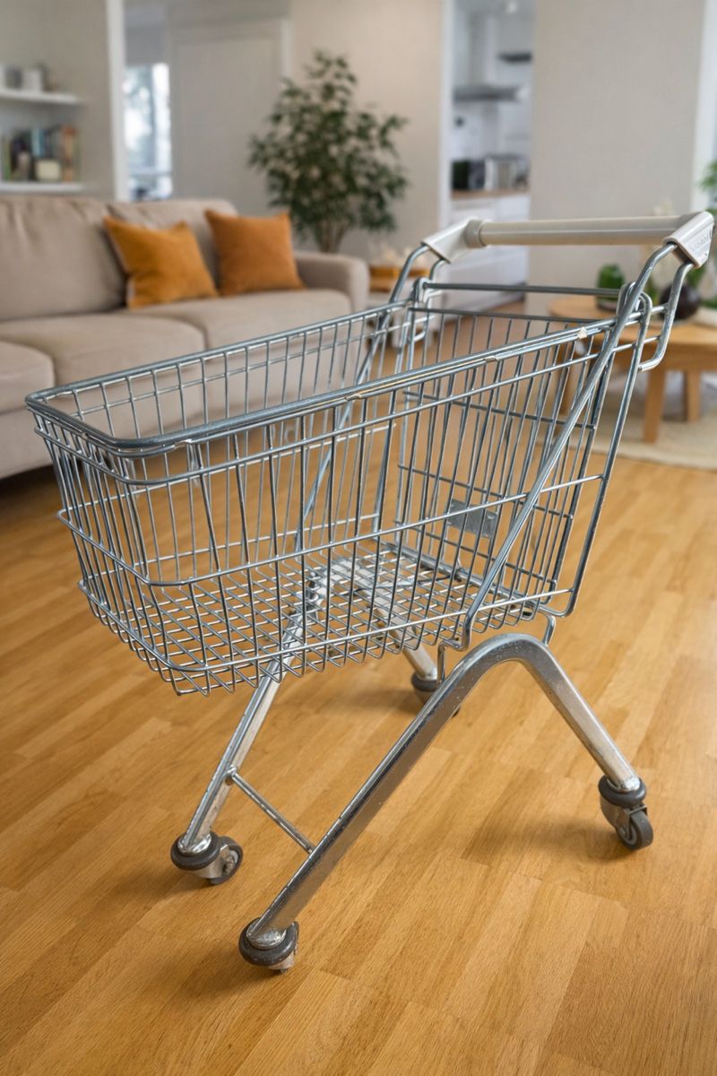 Carriole: Mini Einkaufswagen 🛒 – Usato da St. Gallen venduto da Mokki2014 1