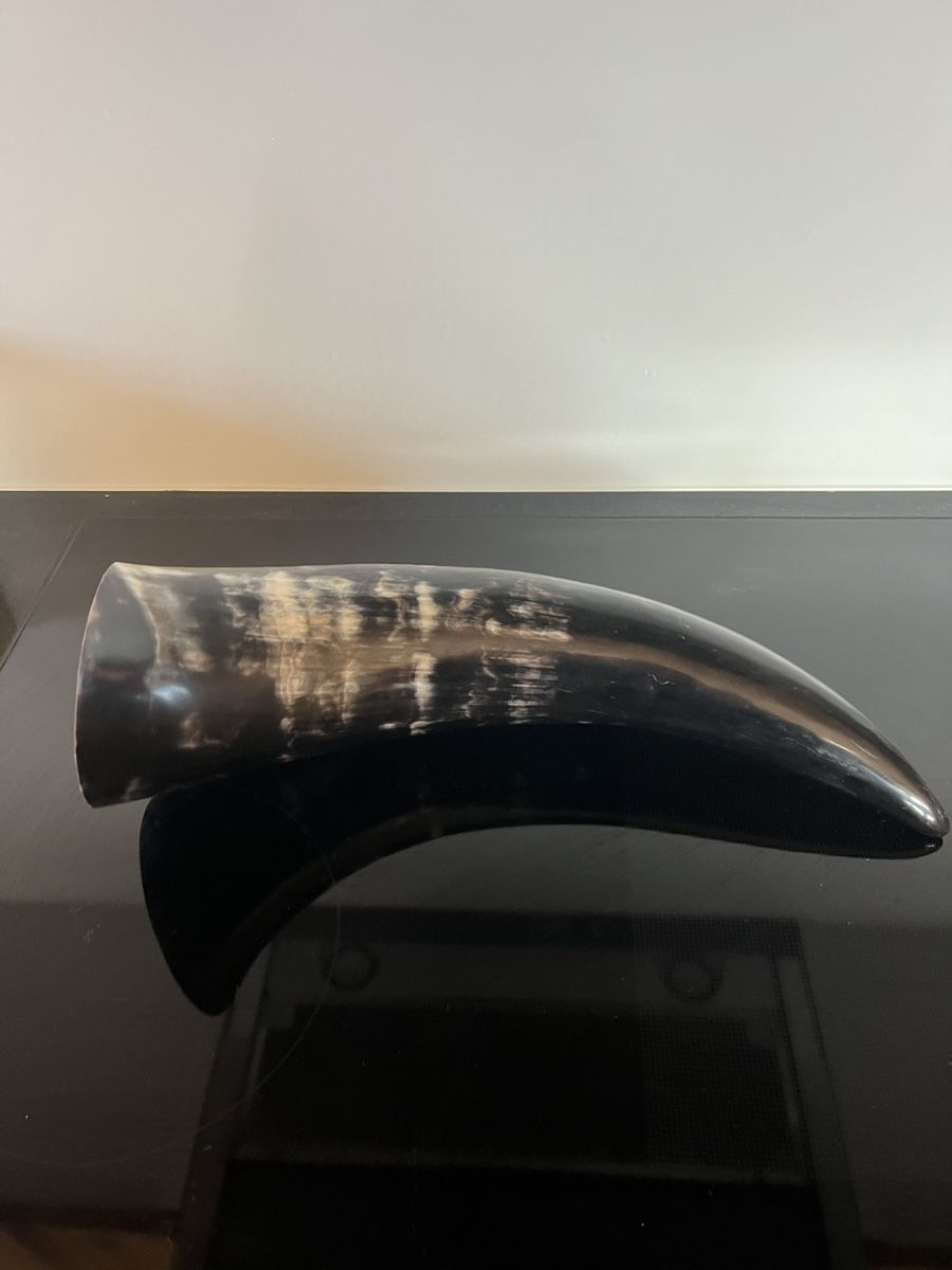 Tutte le decorazioni: Grosses Horn Deko 43cm – Nuovo (secondo la descrizione) da Saanen venduto da SoniaMichaela 2