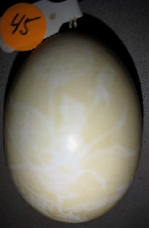 Statuette: Osterei geritzt (45) – Nuovo (secondo la descrizione) da Lutzenberg venduto da Truhe