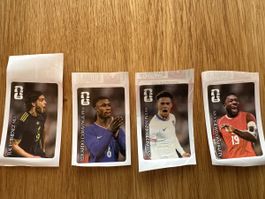 Panini Fifa World Cup 2026 Coca Cola Sticker