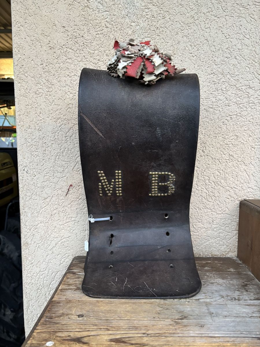 Campanacci mucche: Treichelriemen MB  – Usato da Schangnau venduto da Roseggli82