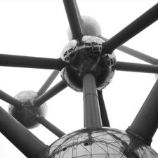 Profile image of ERATOMIUM