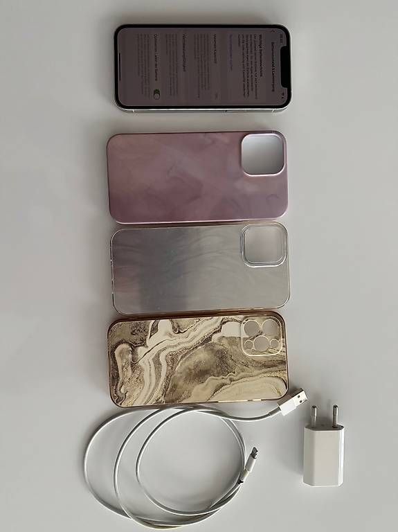 Apple Telefoni cellulari / Smartphones: İphone 12 pro 128 gb silber – Usato da Winterthur venduto da Alp9 2