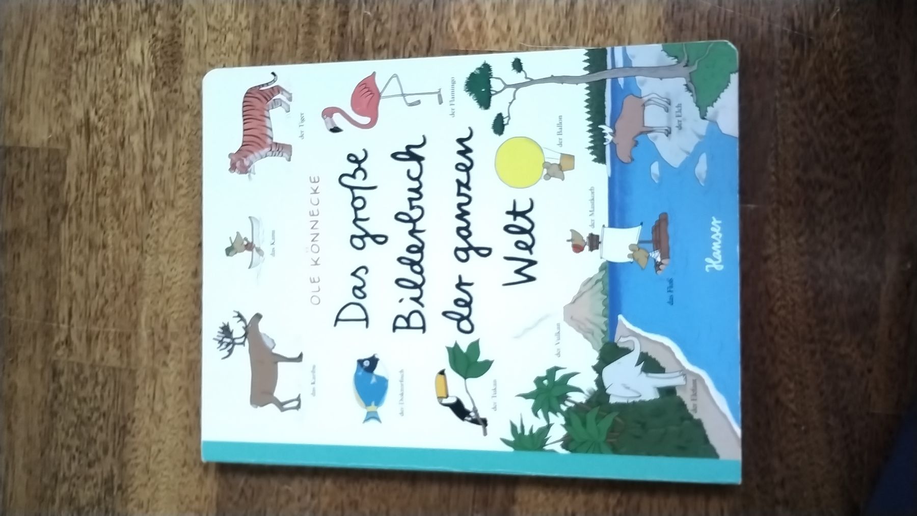 Bücher: Das grosse Bilderbuch der ganzen Welt – Gebraucht aus Büren SO von T02rickonSWE