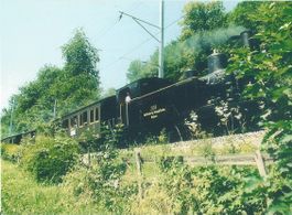G 3/4 208 Jahrgang 1913 Ex SBB Brünig
