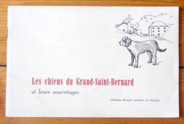 Les chiens du Grand-Saint-Bernard et leurs sauvetages.
