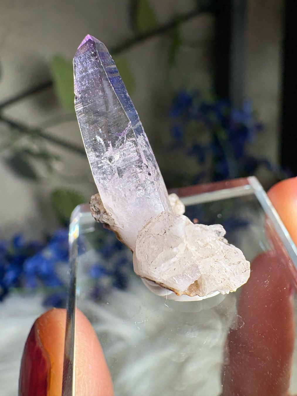 Pietre preziose: Veracruz Amethyst – Nuovo (secondo la descrizione) da Neuheim venduto da m.hald 3