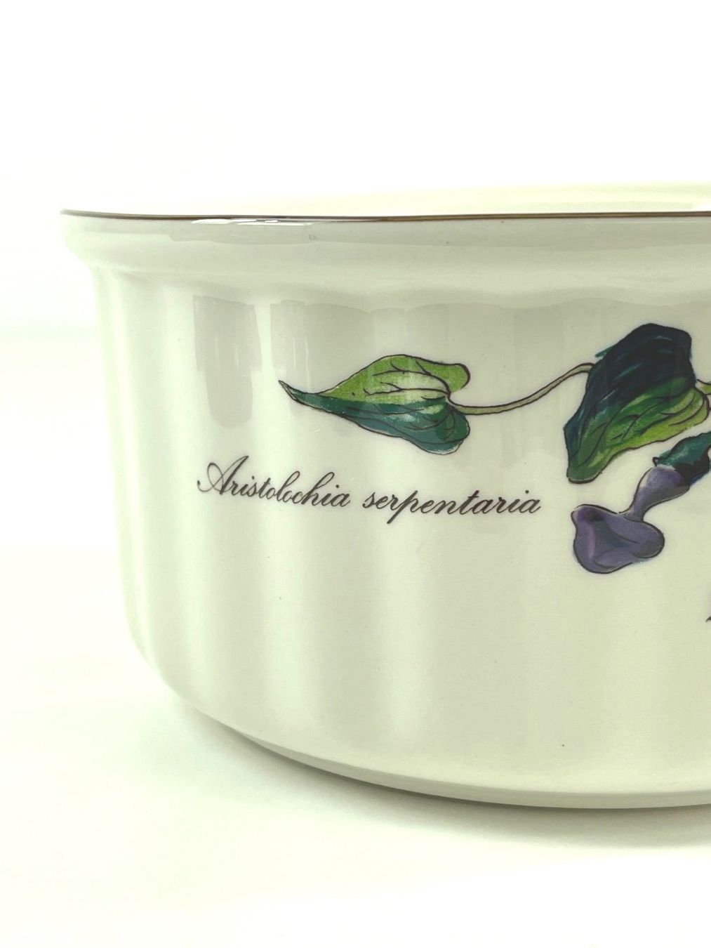 Villeroy & Boch Backformen: VILLEROY & BOCH Botanica Auflaufform 924/3 – Gebraucht aus Zürich von Arche_Brockenhaus 5