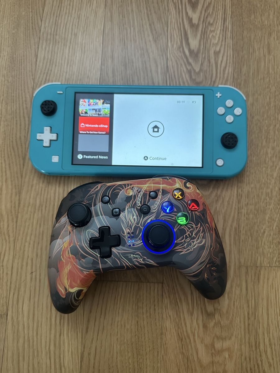 Nintendo Console: Nintendo Switch Lite – Usato da Affoltern am Albis venduto da blata81 1