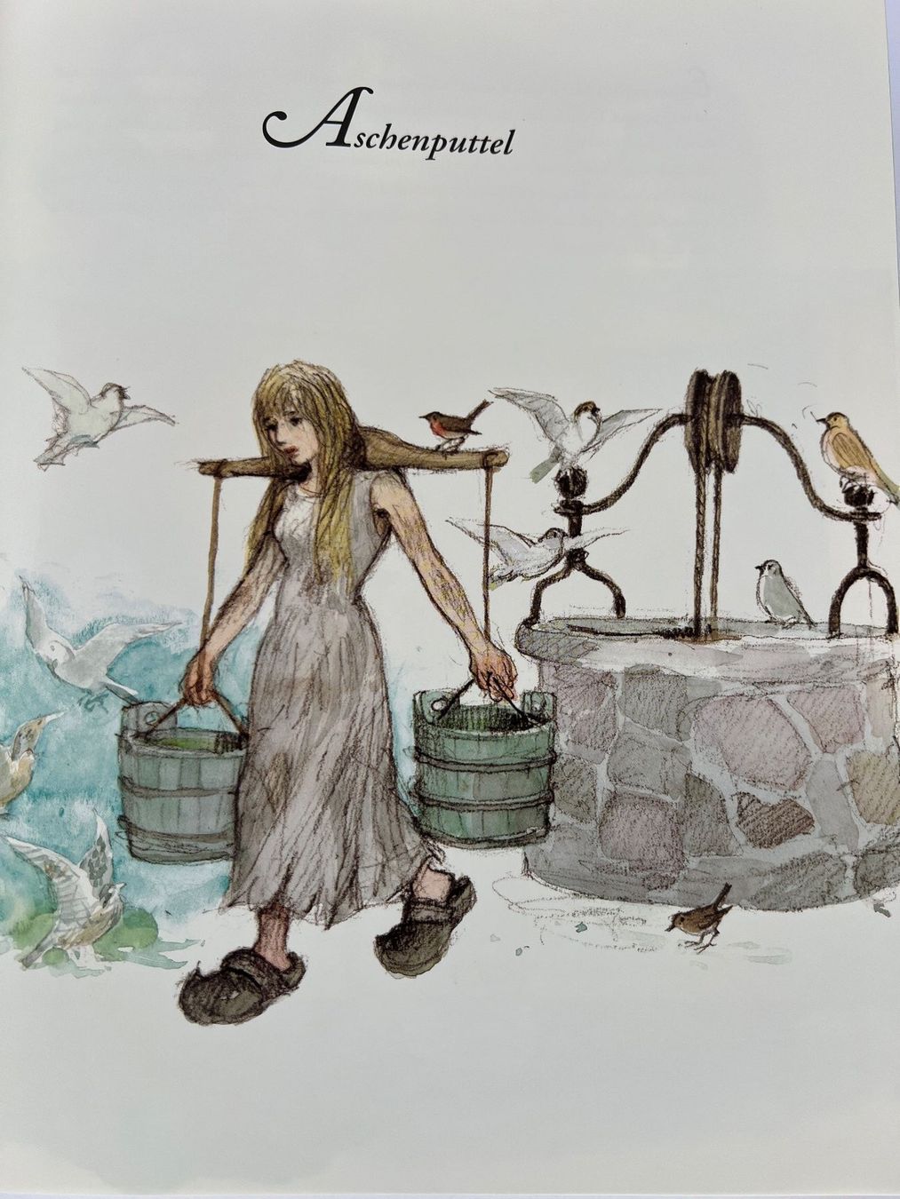Libri: Die schönsten Märchen der Brüder Grimm Märchenbuch 2012 top – Nuovo (secondo la descrizione) da Oberhofen Thun'see venduto da SwissTreasure 4