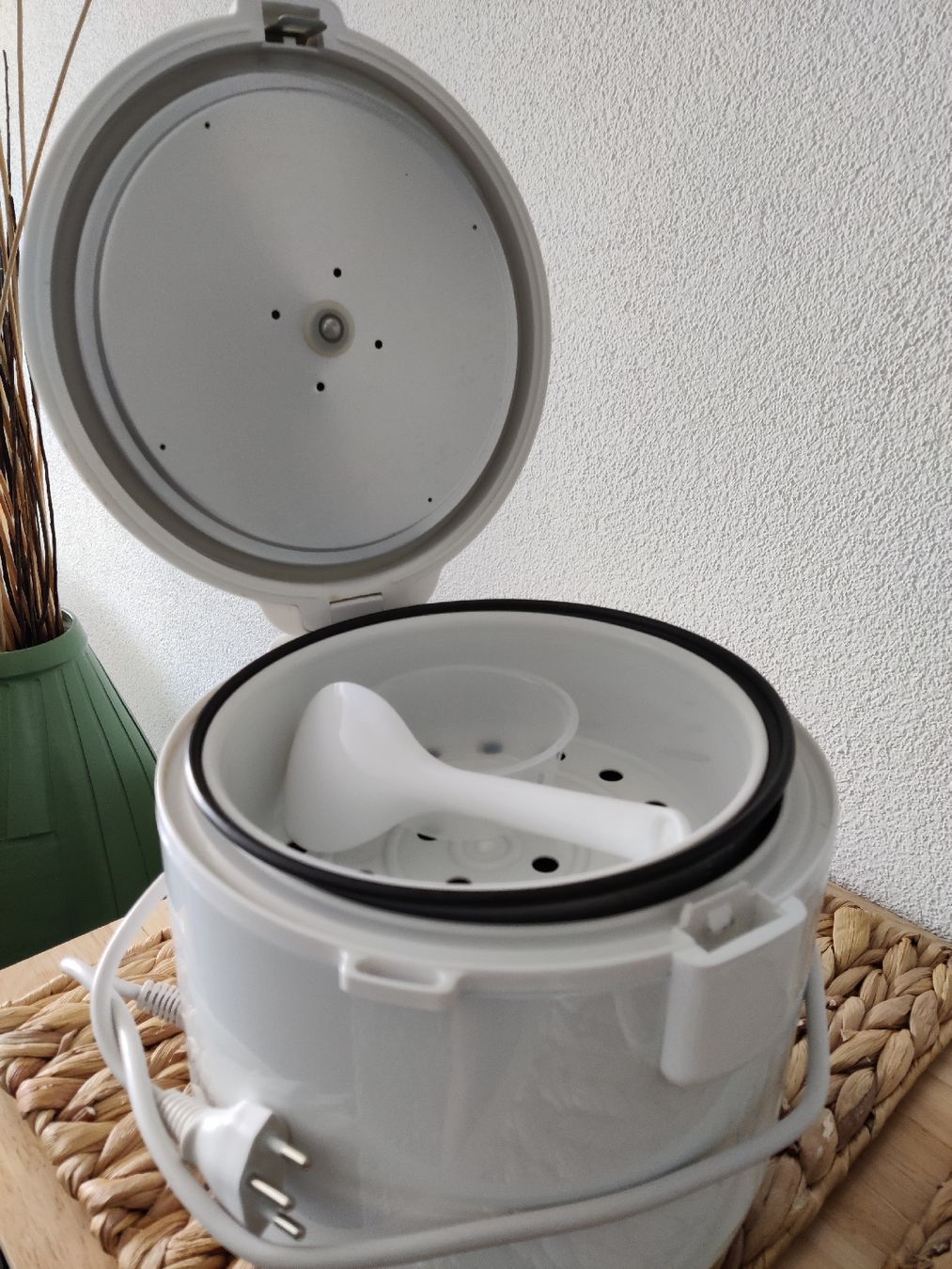 Elettrodomestici da cucina: Rice and vegetables cooker – Usato da Wollerau venduto da Sella55 1