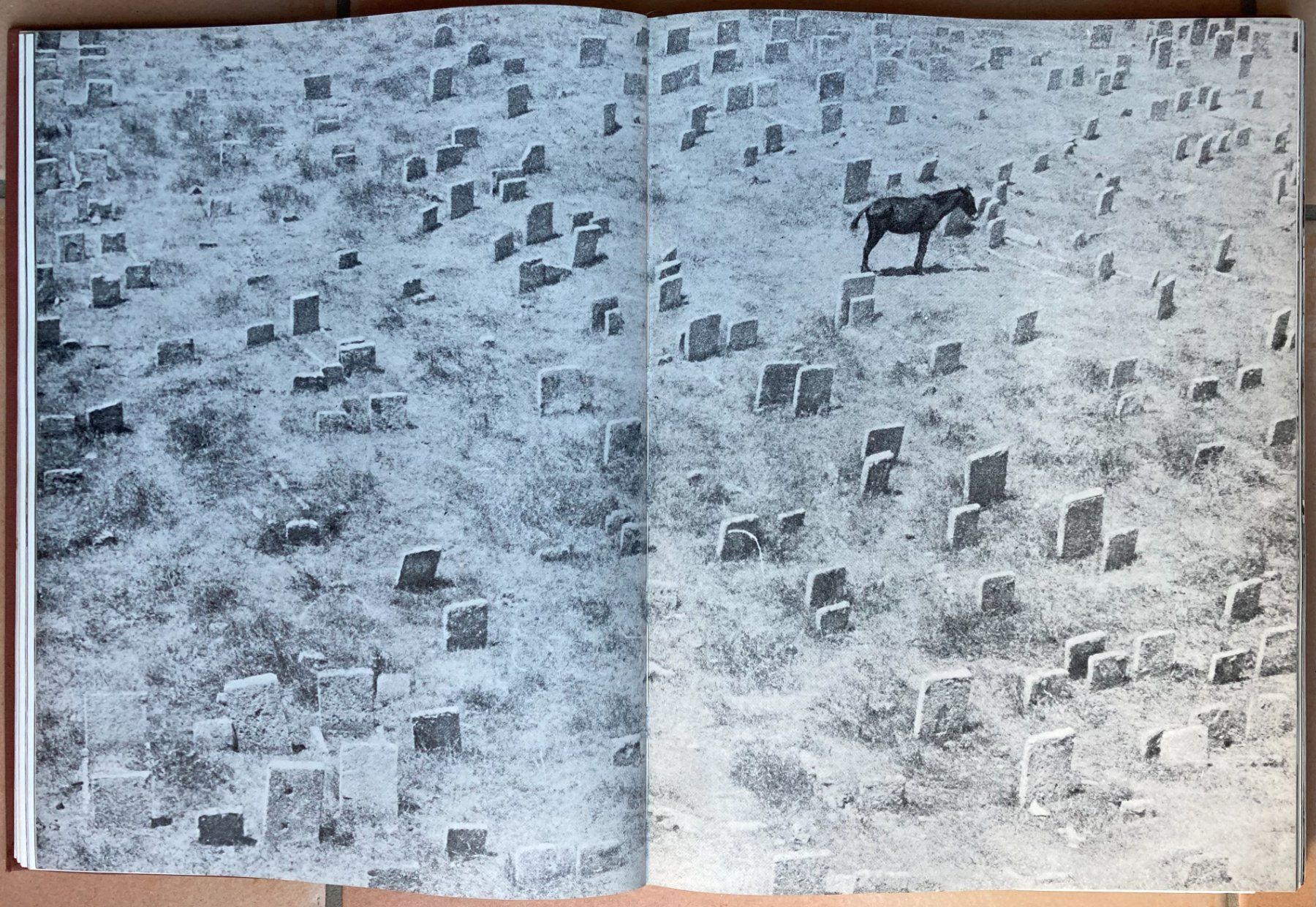 Libri: U.S. Camera -  Annual 1950 International Edition – Usato da Versoix venduto da HELVETICA_1 2