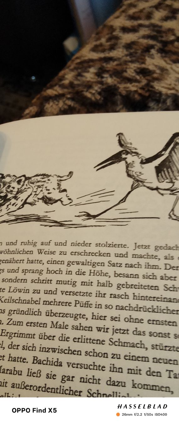 Livres: Die schönsten Tiergeschichten – D'occasion à Volken par katz5 5