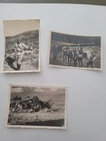 Alte Fotos Militär Schweiz 