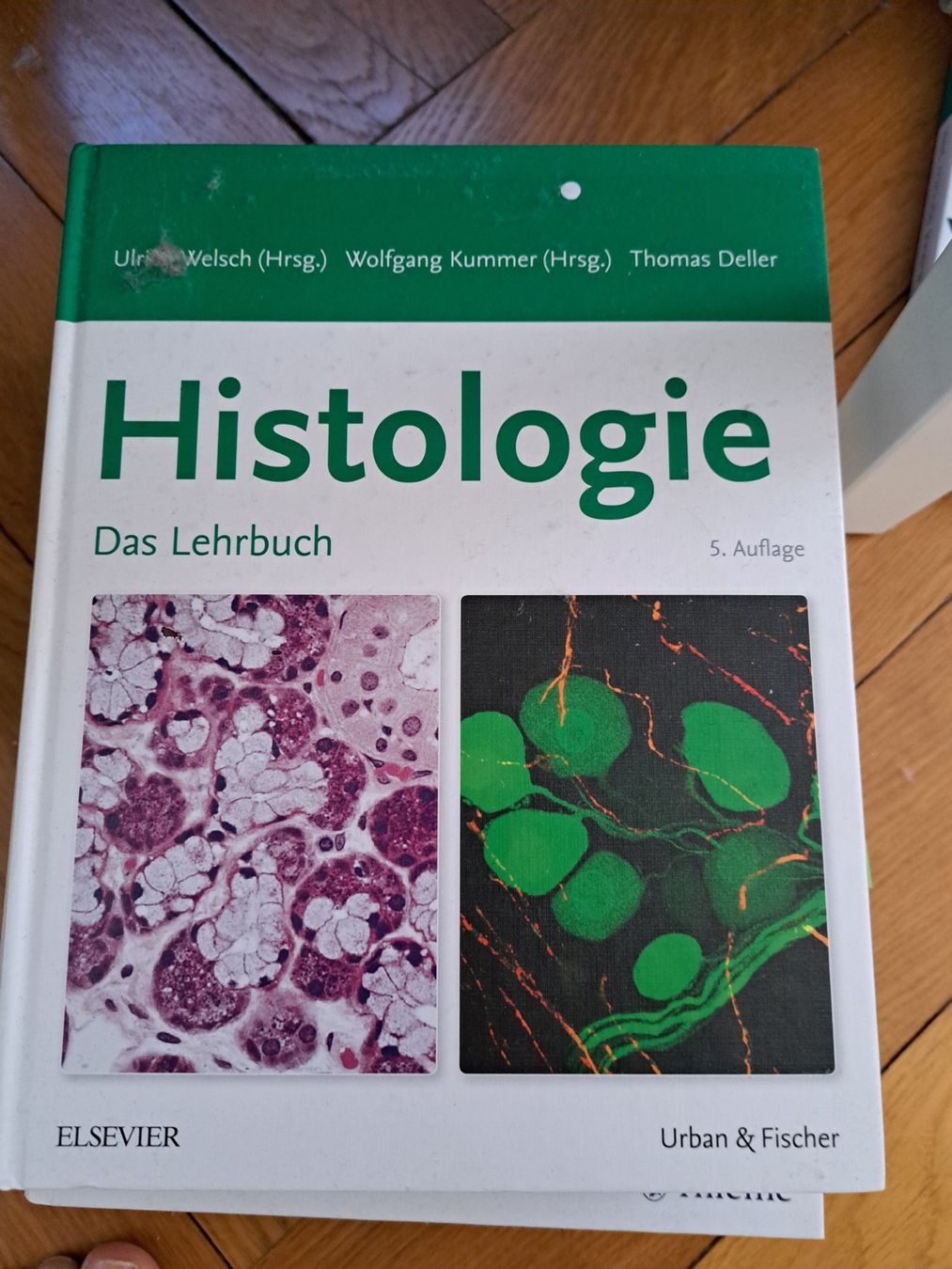 Libri: Histologie, das Lehrbuch – Usato da Basel venduto da str_5npz