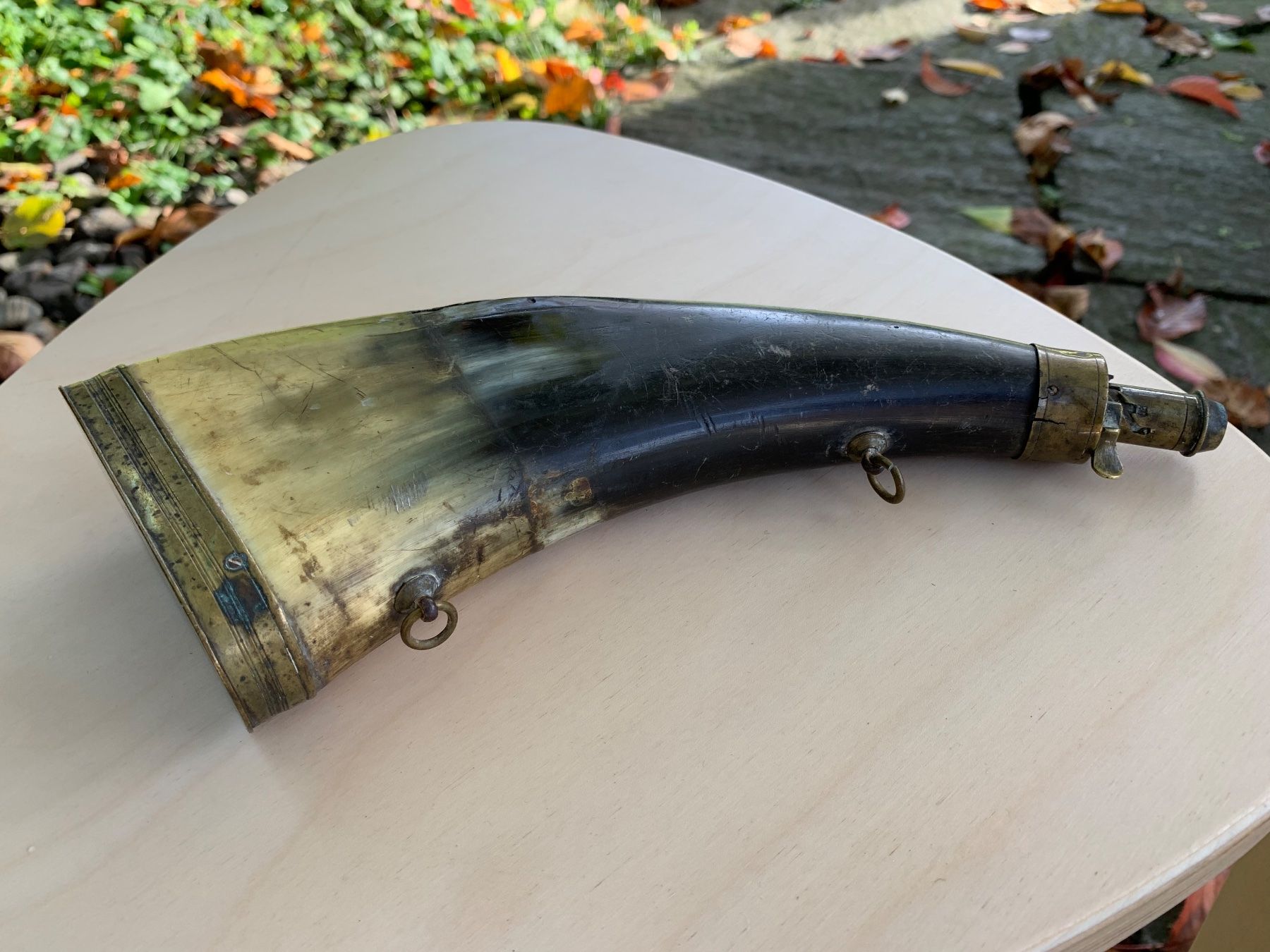 Il mondo degli animali: antikes Pulverhorn – Usato da Feldbach venduto da Olive1 6
