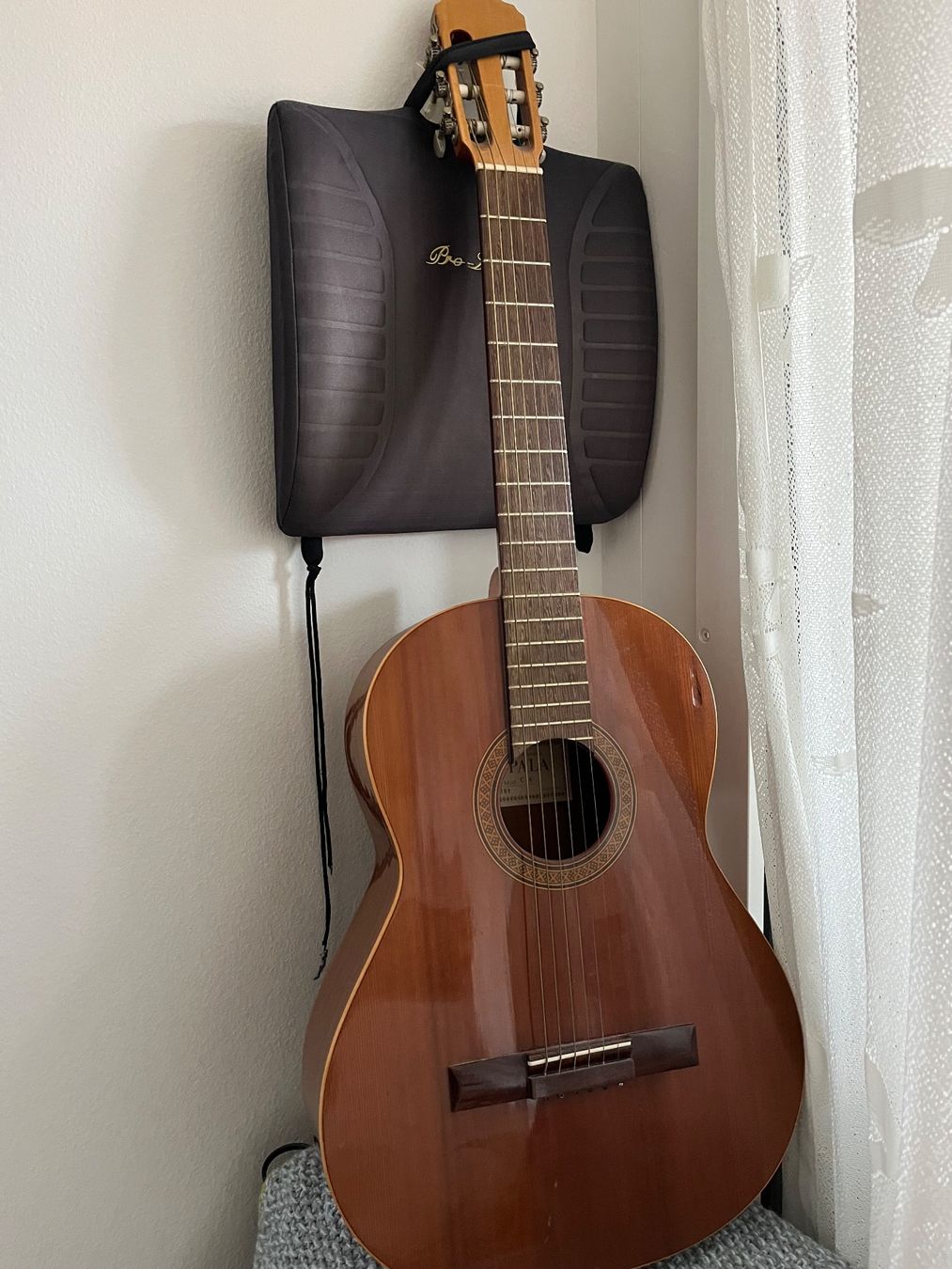 Strumenti musicali: Guitare – Usato da Genève venduto da Lalafanny66