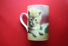 tasse / diverses