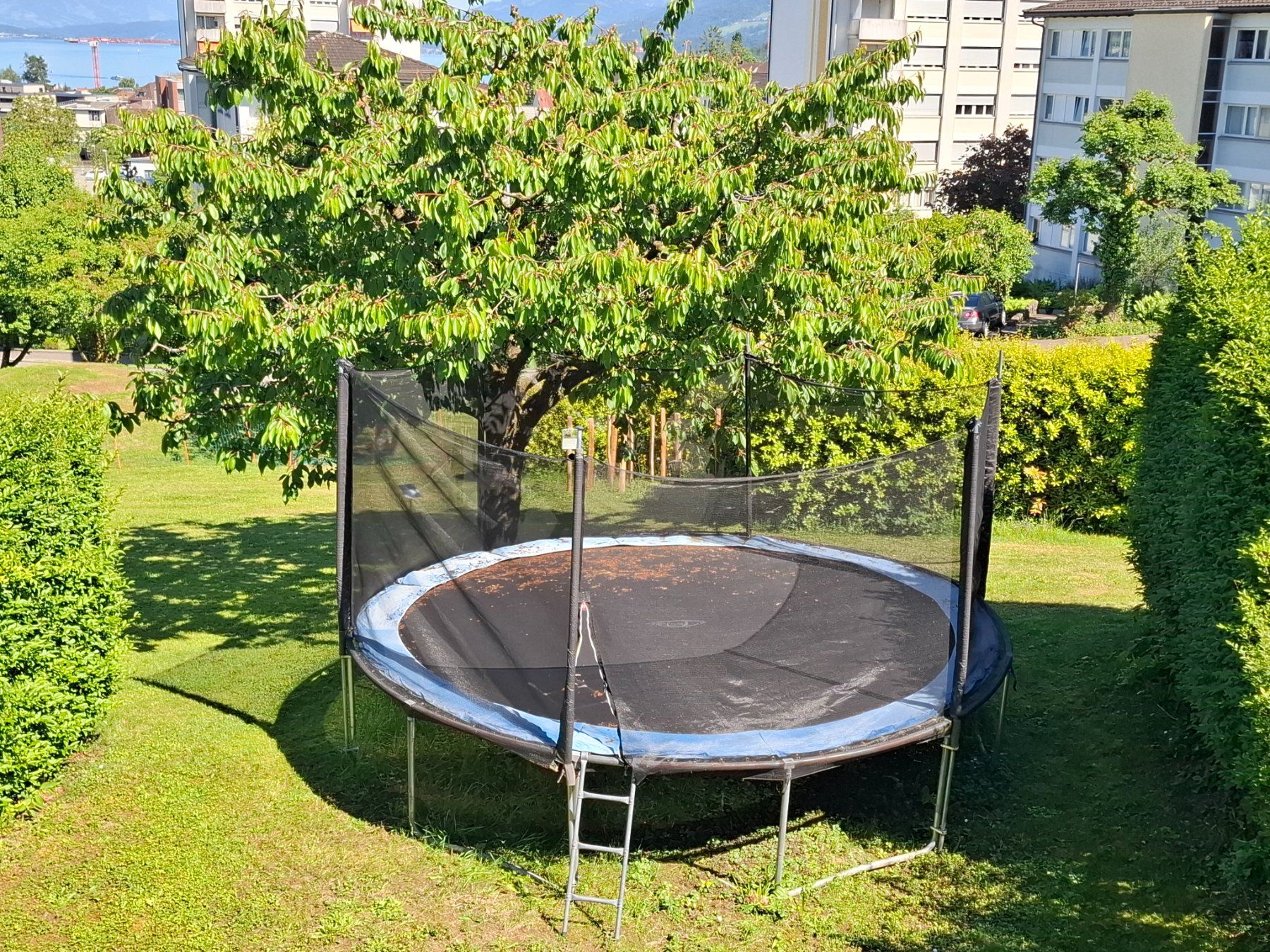 Trampolini: Trampolin mit Sicherheitsnetz (Marke tectake) – Usato da WÄDENSWIL venduto da Kanu15 1