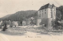 Postkarte Valangin Le Chateau gute Erhaltung 1906