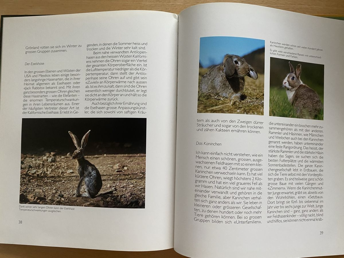 Libri: Ich bin ein Hase - Ursula Dolder – Usato da Schwarzenburg venduto da Michellu 9