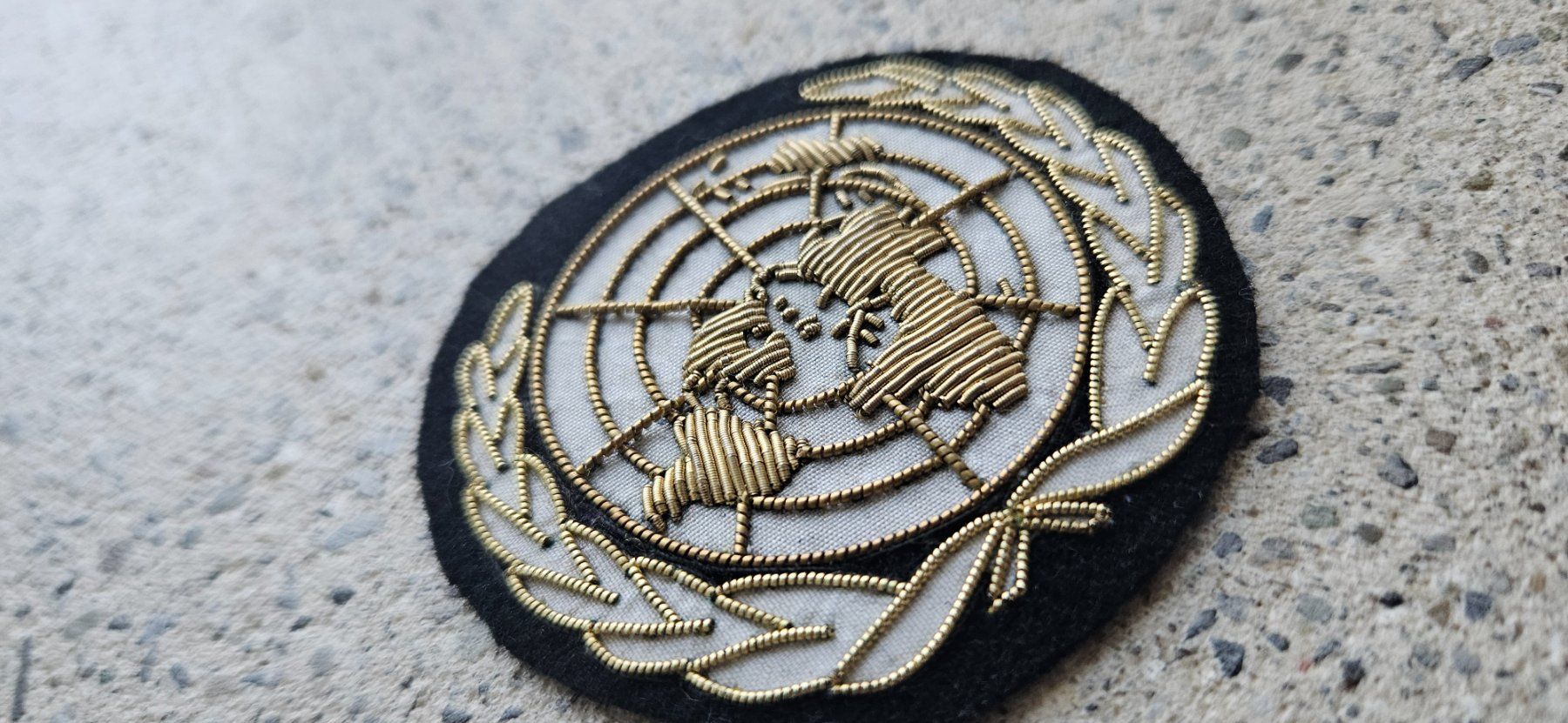 Schweizer Armee Placchette & Badge: *** Beret Abeichen Gestickt UN Rare !! *** – Nuovo (secondo la descrizione) da Riedholz venduto da fr_sIruP 1