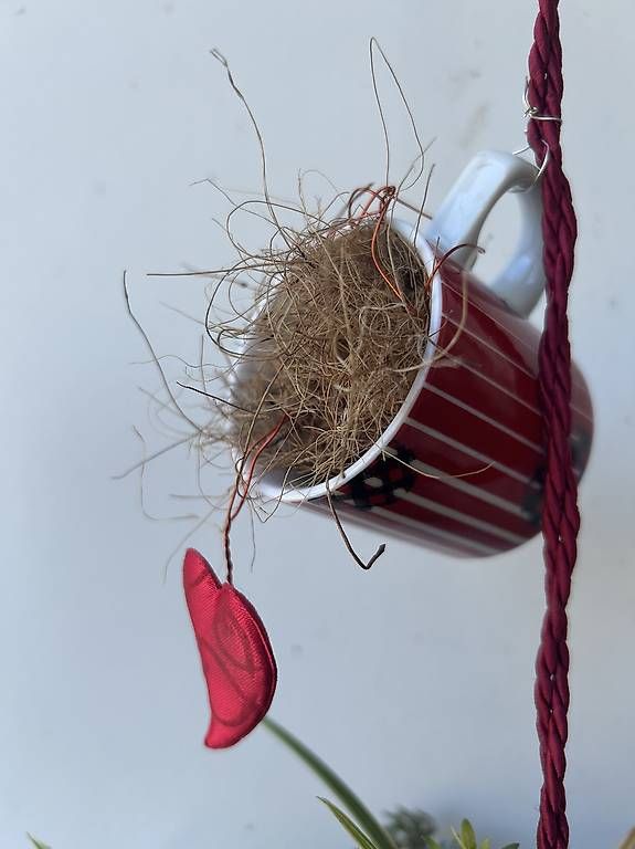 Tutte le decorazioni: Pflanzen in der Gugelhupfform  – Nuovo e nell'imballaggio originale da Frauenfeld venduto da Irene.Schuppli 3