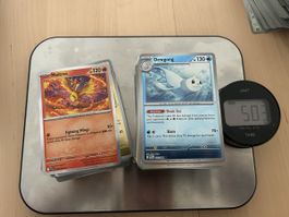 Pokemon Bulk EN ab 1.-!!!