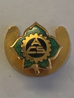 Antiker ACS Pin - z.B. für Knopf-Lochmontage