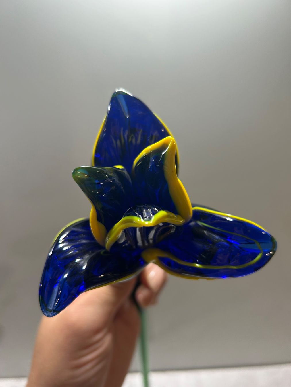 Verres: Glasblume im Murano-Stil Iris – D'occasion à Basel par toy_t8bb 4
