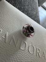 Pandora Charm