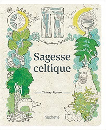 Bücher: Sagesse celtique – Gebraucht aus Neuchâtel von Dualseele