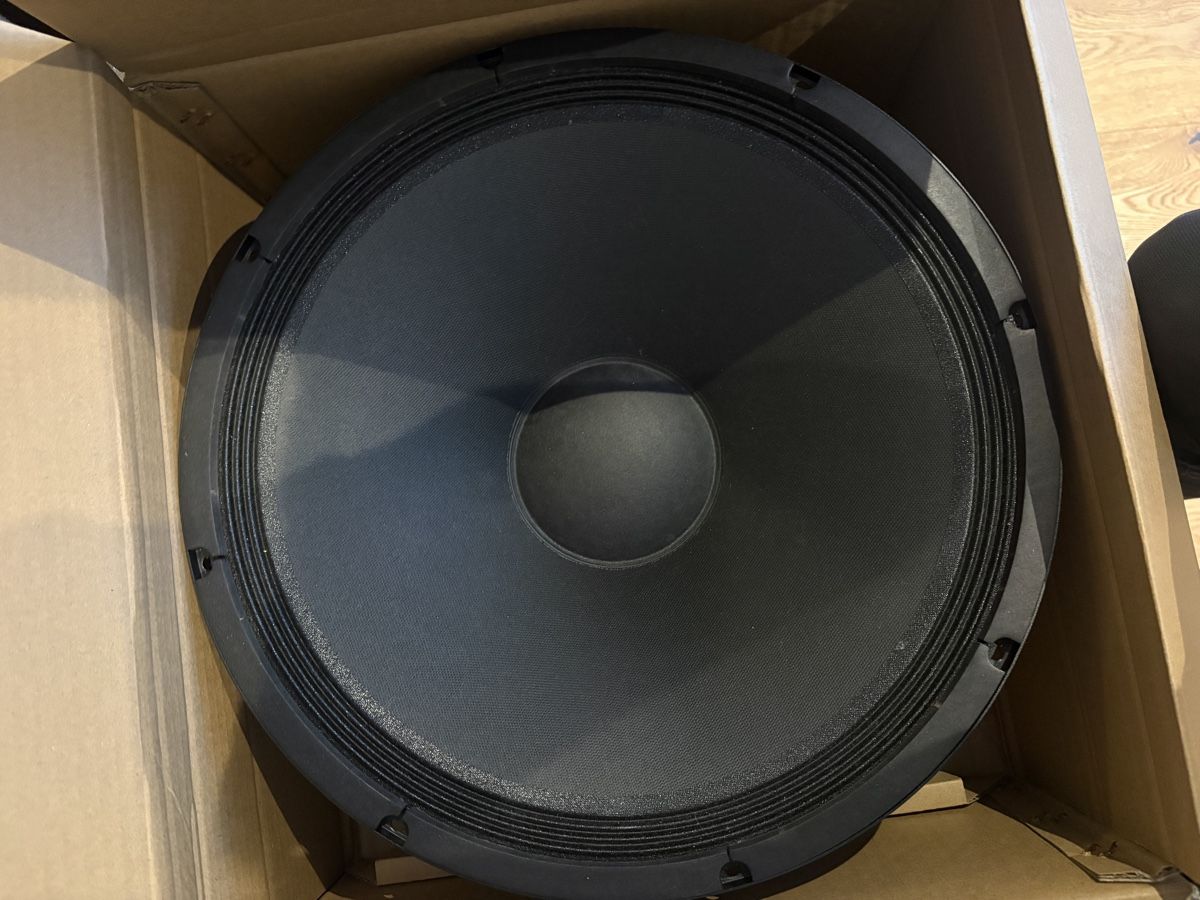 Casse acustiche: Celestion Pulse 15 Speaker – Nuovo (secondo la descrizione) da Zermatt venduto da Serverin-A 2