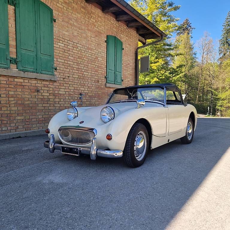 Automobili: Top Restaurierter Healey – Usato da Dussnang venduto da sokrates321