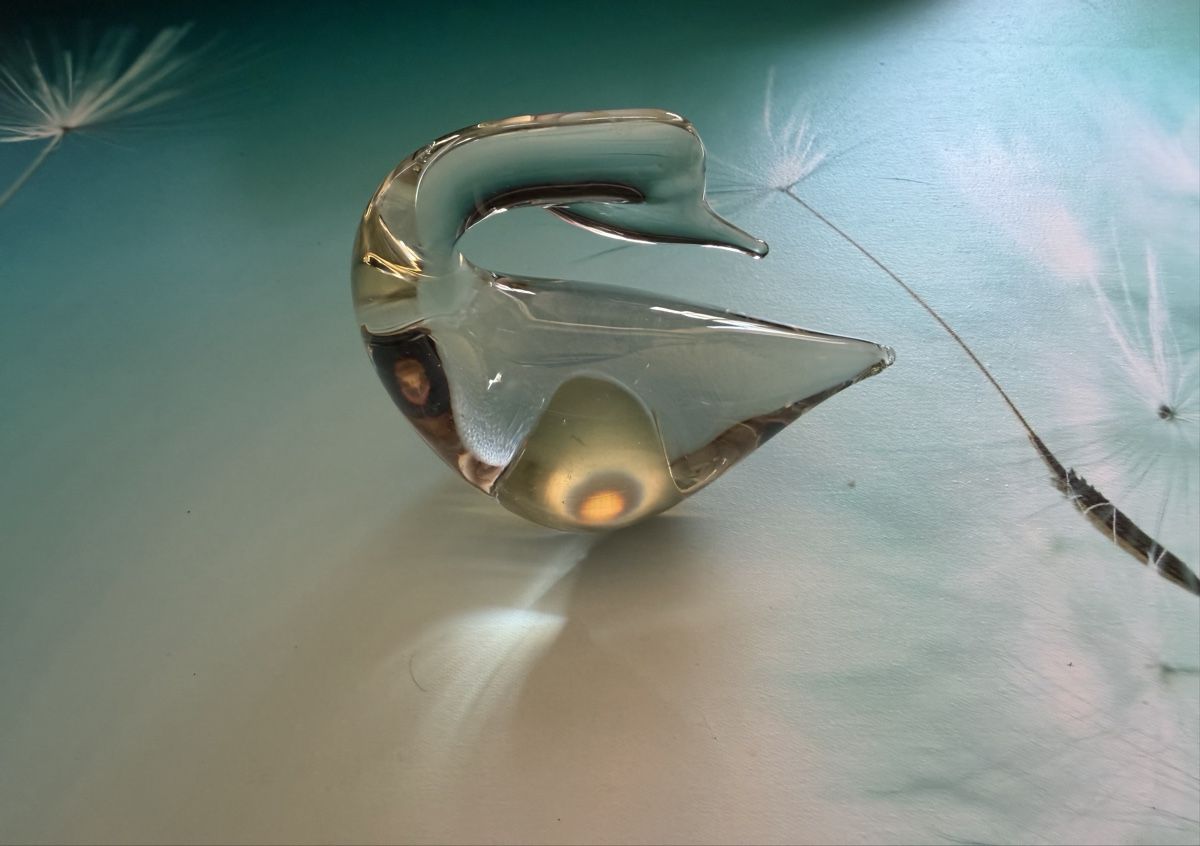 Sculture & Statue: Putzender Schwan - Glas Skulptur – Nuovo (secondo la descrizione) da Wolfwil venduto da jam_xzn2 2