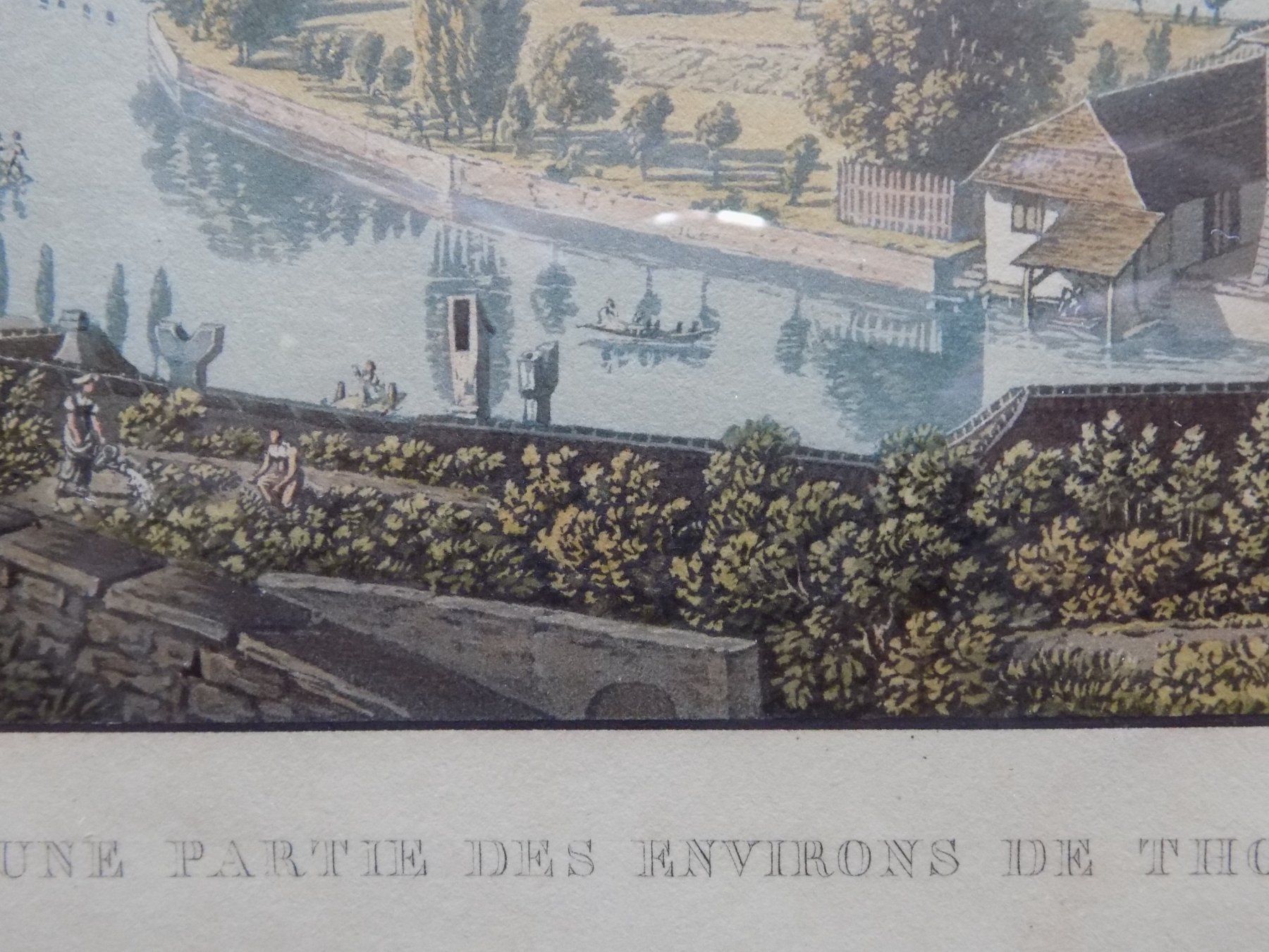 Gravures: Thun Lory selten – D'occasion à Risch par Rischli15 9