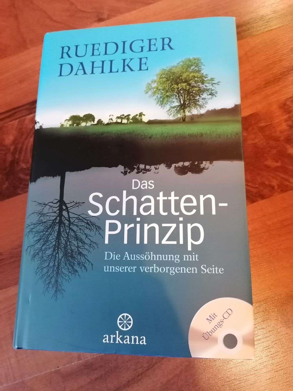 Libri: Das Schatten Prinzip - Ruediger Dahlke – Nuovo (secondo la descrizione) da Wahlen b. Laufen venduto da Aweiss
