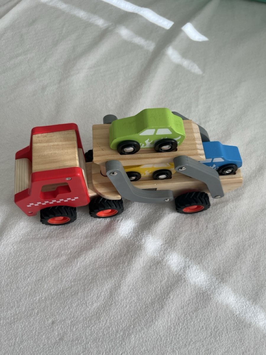 Lastwagen: Holzlastwagen – Neu (gemäss Beschreibung) aus Riehen von chr_h8fh