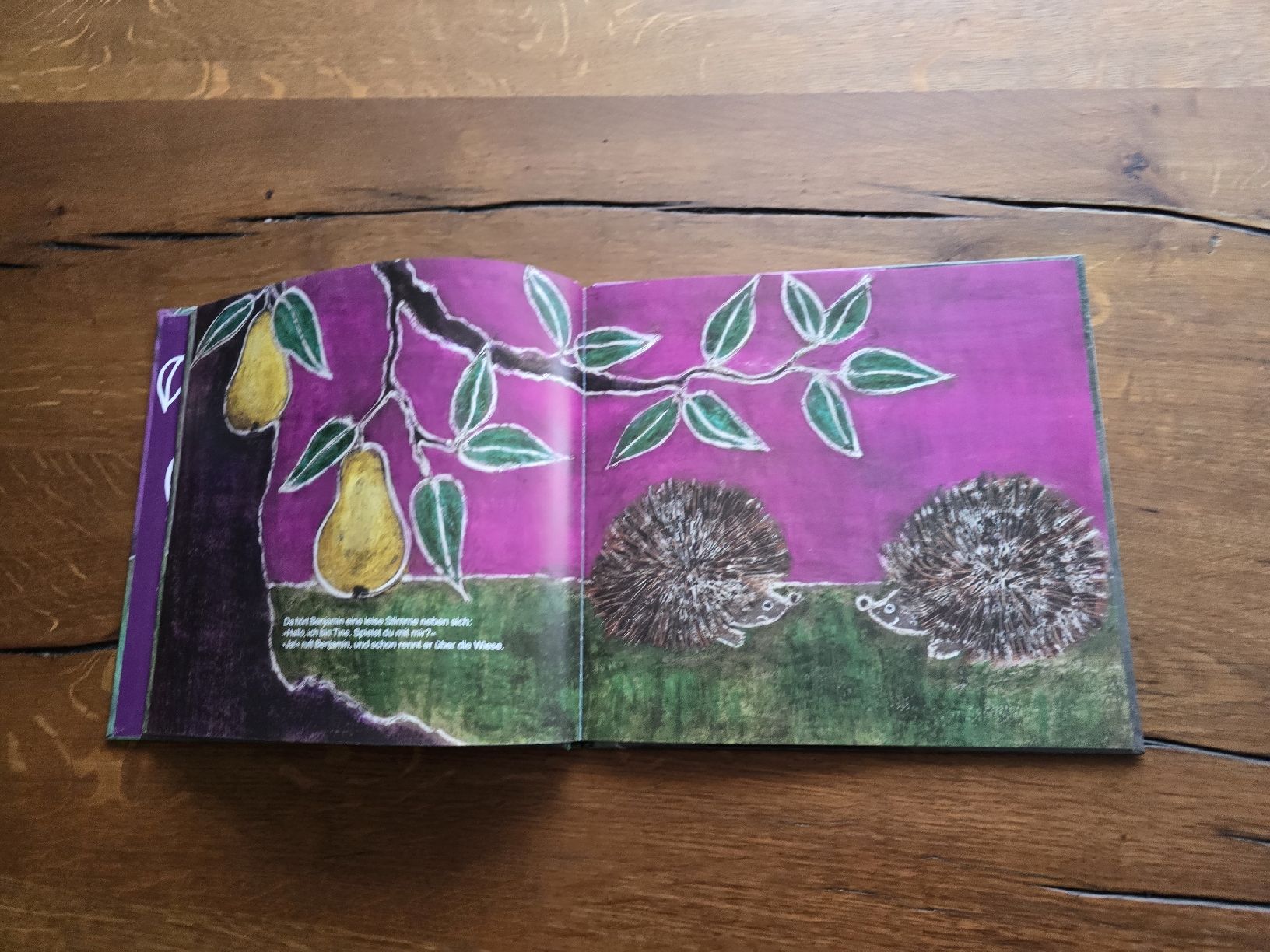 Libri: Igelkinder Buch von Else Schwank-Anger - – Usato da Wittenbach venduto da Tigerlili 7