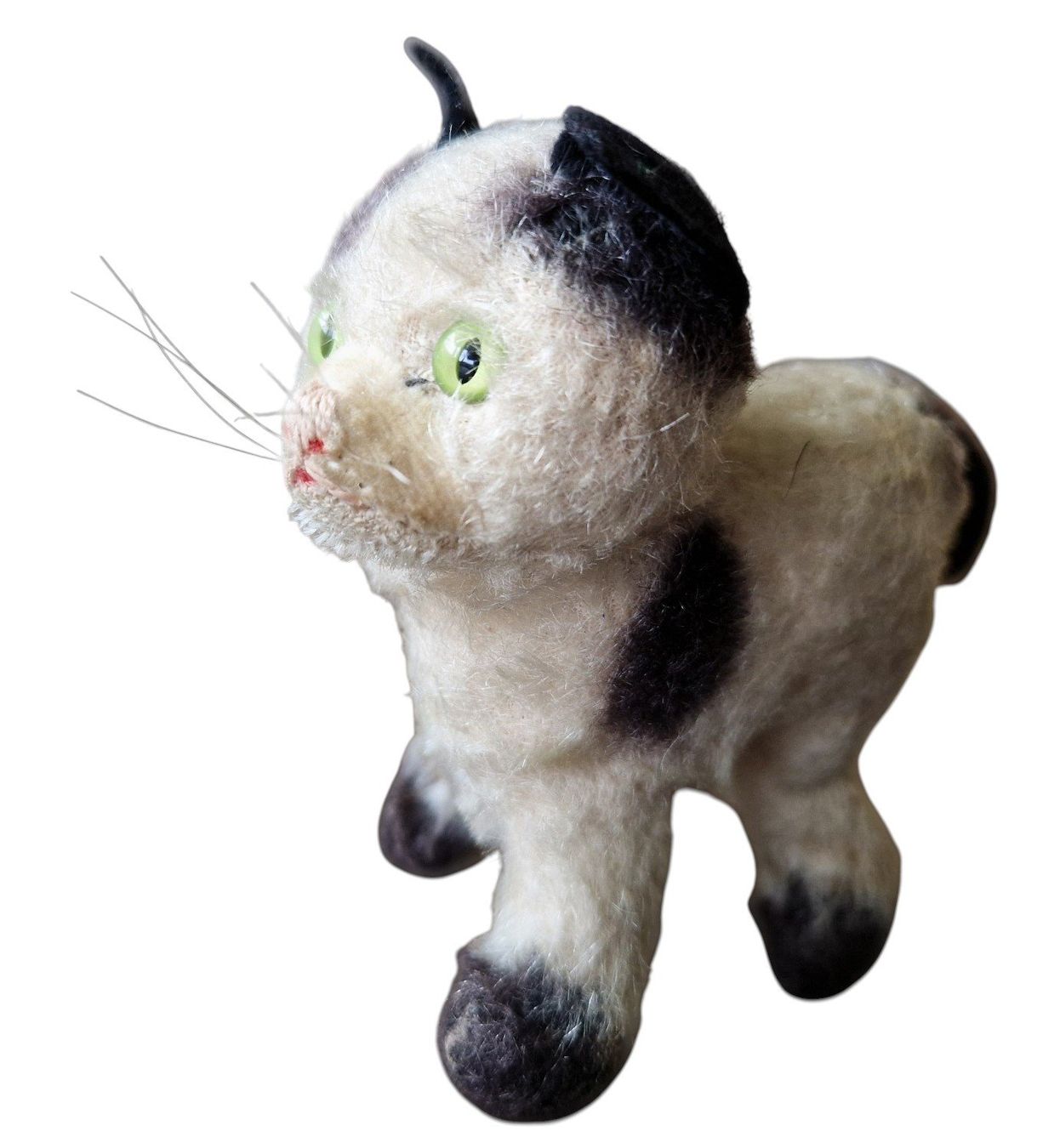 Steiff Giocattoli: Steiff Plüschtier Katze 1950er – Usato da Mörschwil venduto da lindaswunderkiste