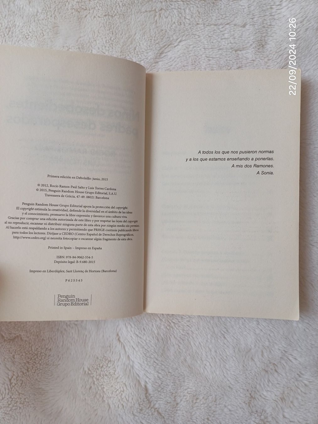 Bücher: Spanischen Buch Titel: "Niños desobediente... – Gebraucht aus Würenlos von JRP_71 3