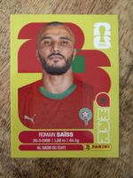 Panini MAR 7