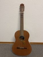 Gitarre