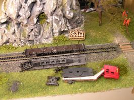 Defekte N Wagen für Bastler