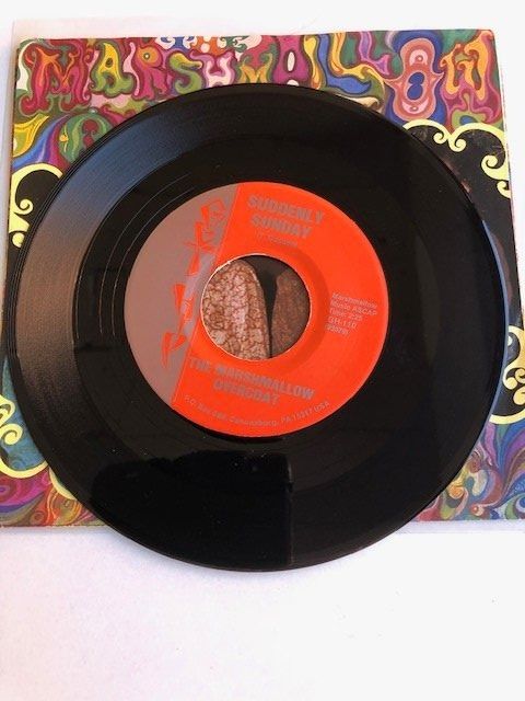 Dischi in vinile: The Marshmallow Overcoat – Usato da Aarwangen venduto da Jukebox3 3