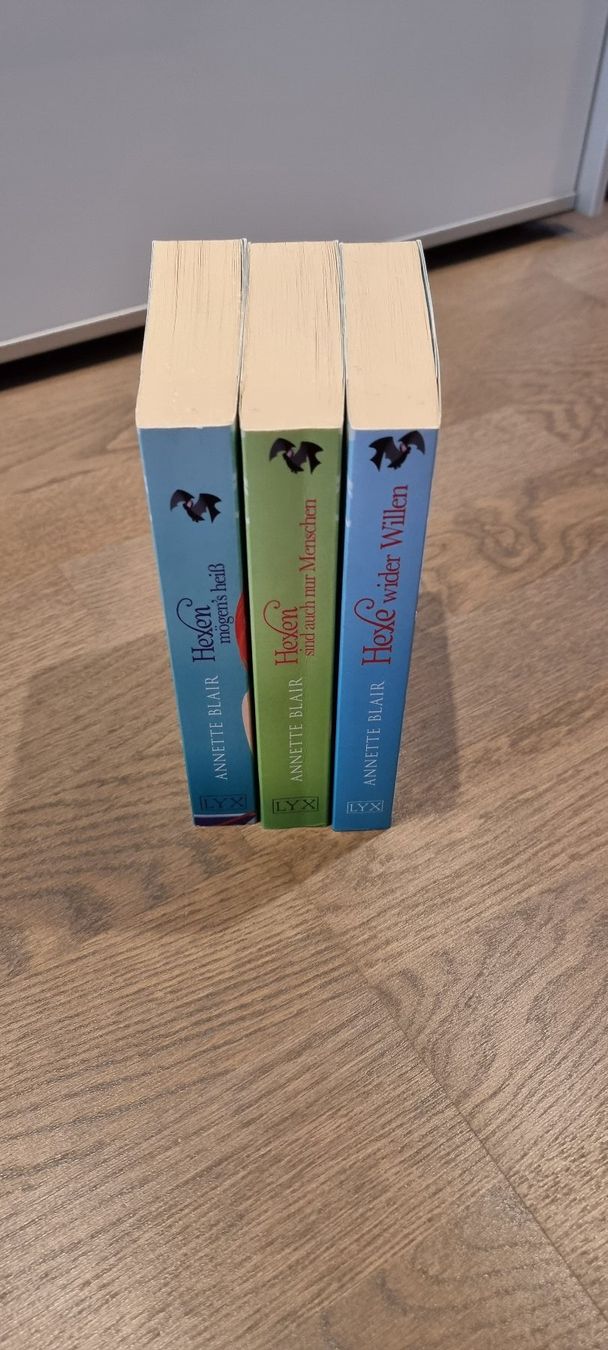 Libri: Accidental Witch - Annette Blair – Usato da Hinterforst venduto da impatiently 2