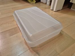Rotho Boxen