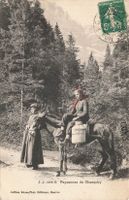 Paysannes de Champéry mit Esel