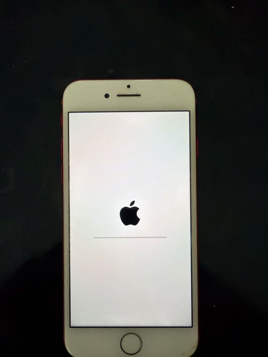 Apple Telefoni cellulari / Smartphones: iphone 7 red – Usato da Buchs ZH venduto da Tmm 2